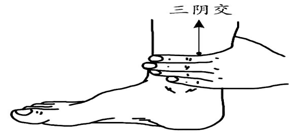 赶跑湿气常推三阴交、阴陵泉