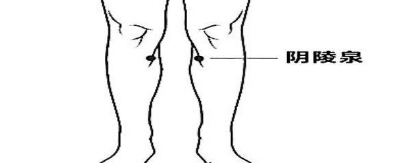 赶跑湿气常推三阴交、阴陵泉