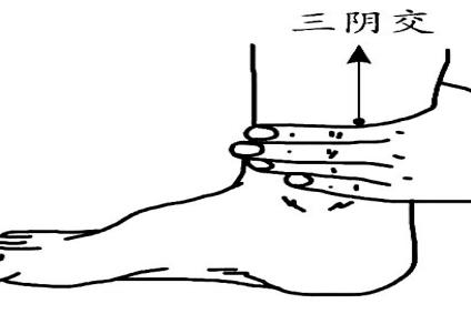 赶跑湿气常推三阴交、阴陵泉