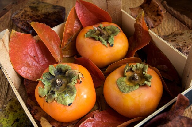 胃柿石的食物诱因：哪些食物要避免？