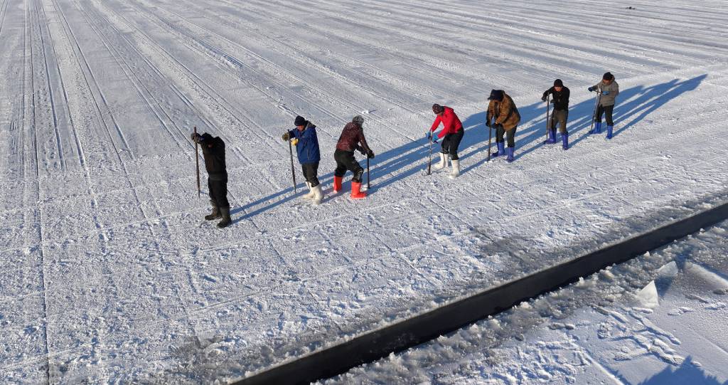 哈尔滨冰雪大世界采冰场陆续出冰块