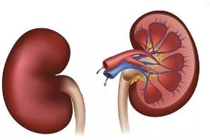 水肿是肾不好?不一定,护理时该咋分辨