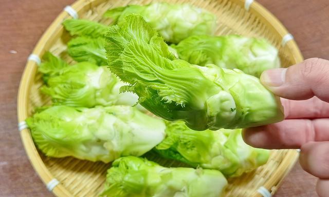 儿菜到底是啥菜