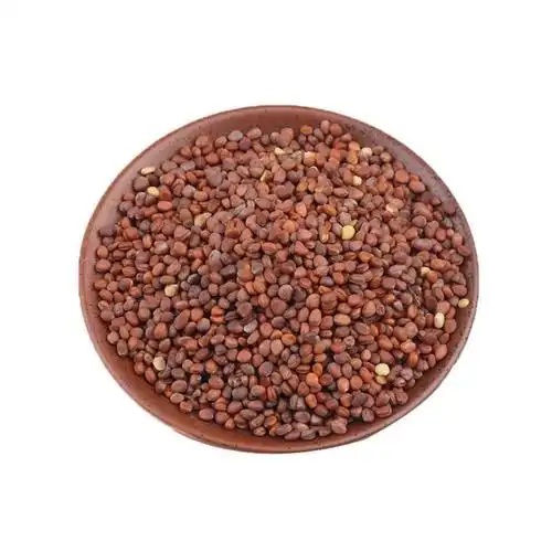 中药里的消化“五剑客”:山楂、神曲、莱菔子、麦芽、鸡内金