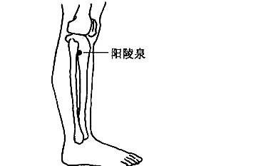 胆绞痛按揉阳陵泉穴