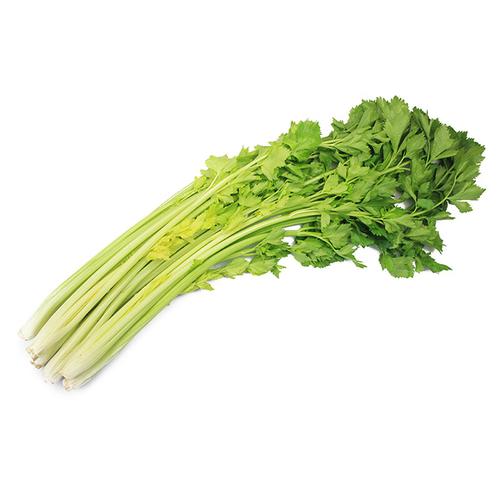 舌尖上的解压密码