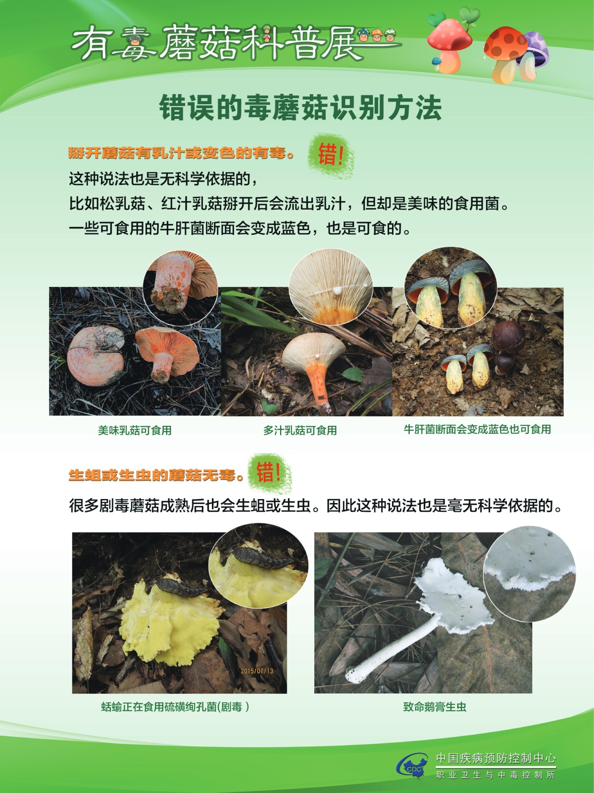咋识别毒蘑菇？吃蘑菇中毒啥症状？听疾控专家说……