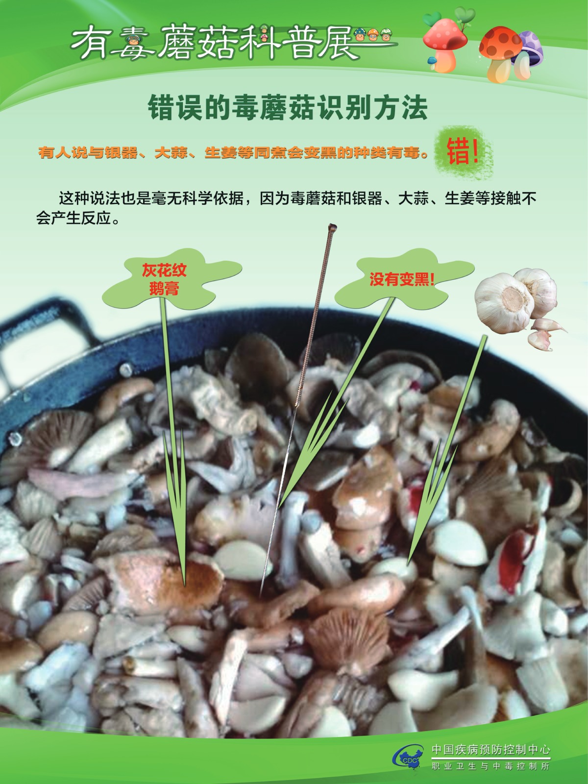 咋识别毒蘑菇？吃蘑菇中毒啥症状？听疾控专家说……