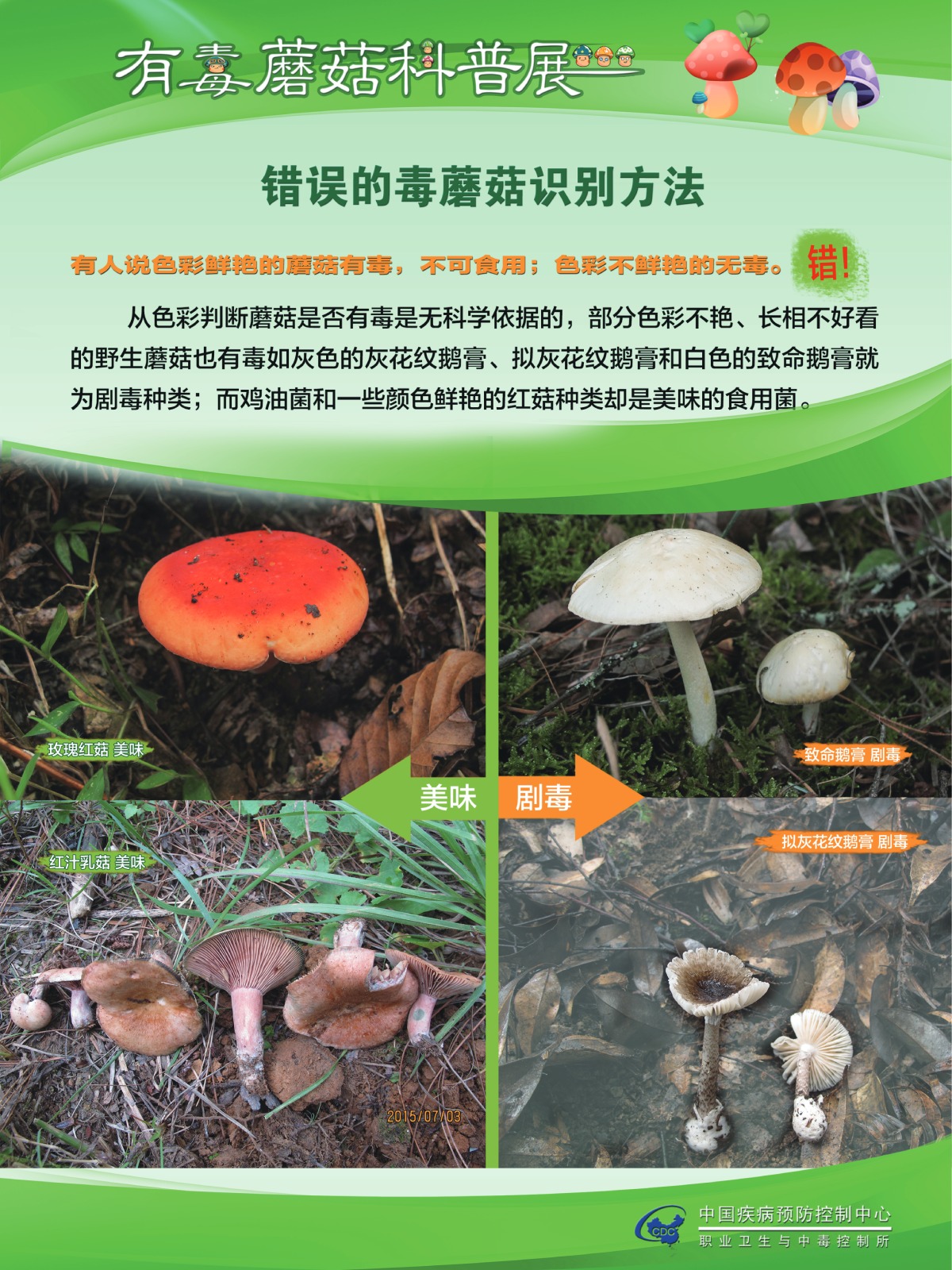 咋识别毒蘑菇？吃蘑菇中毒啥症状？听疾控专家说……