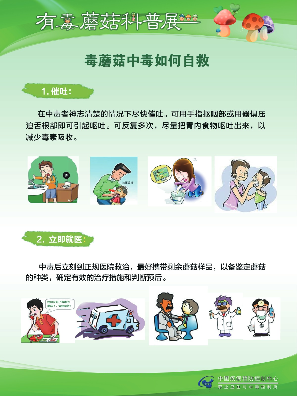 咋识别毒蘑菇？吃蘑菇中毒啥症状？听疾控专家说……