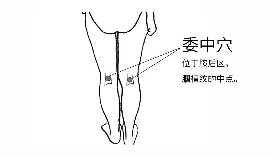 初秋护腰正当时！中医教你应对