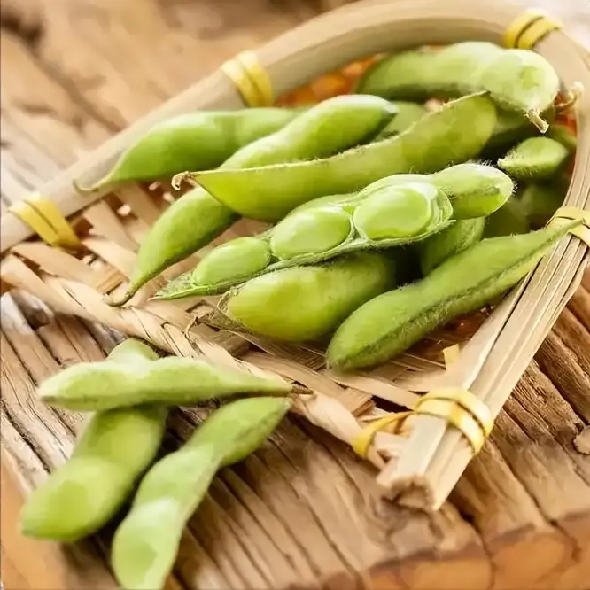 毛豆新上市  清爽美味来