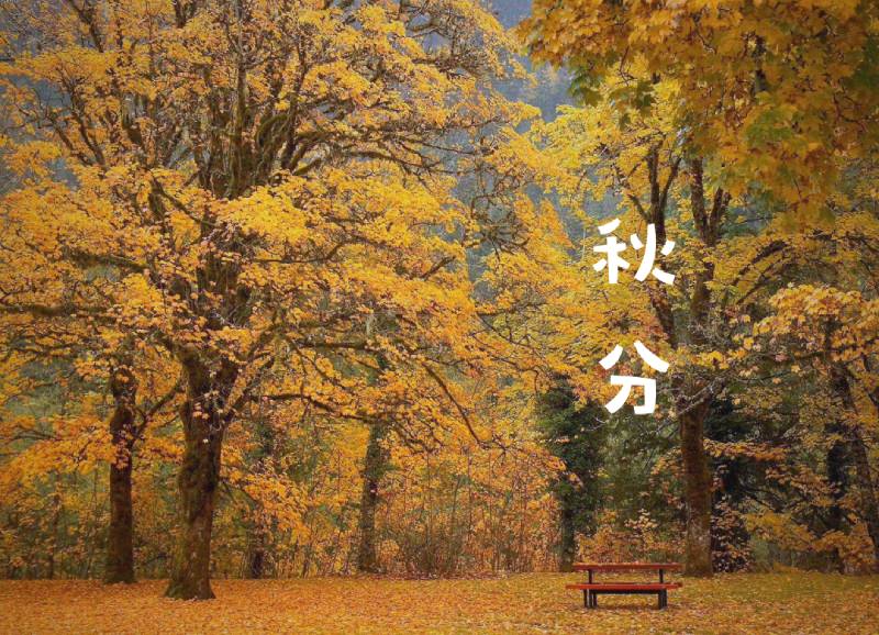秋分时节话养生