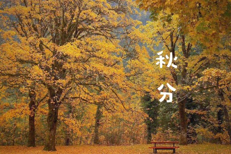 秋分时节话养生