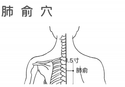 秋冬 中医防治过敏性鼻炎