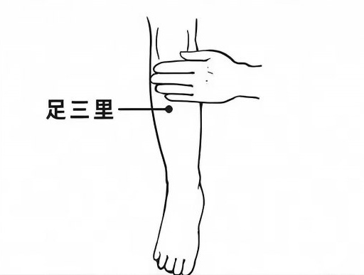 老年贫血的中医调理之道