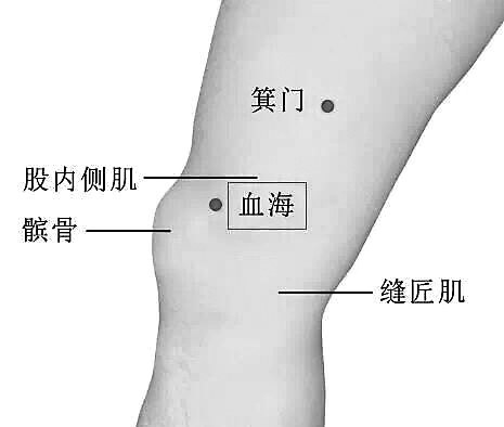 老年贫血的中医调理之道