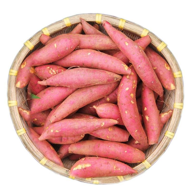 红薯咋吃升糖慢