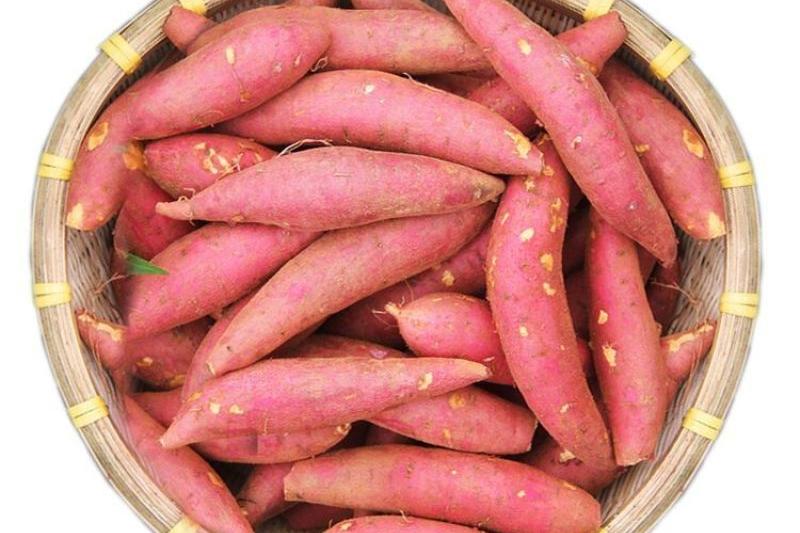 红薯咋吃升糖慢