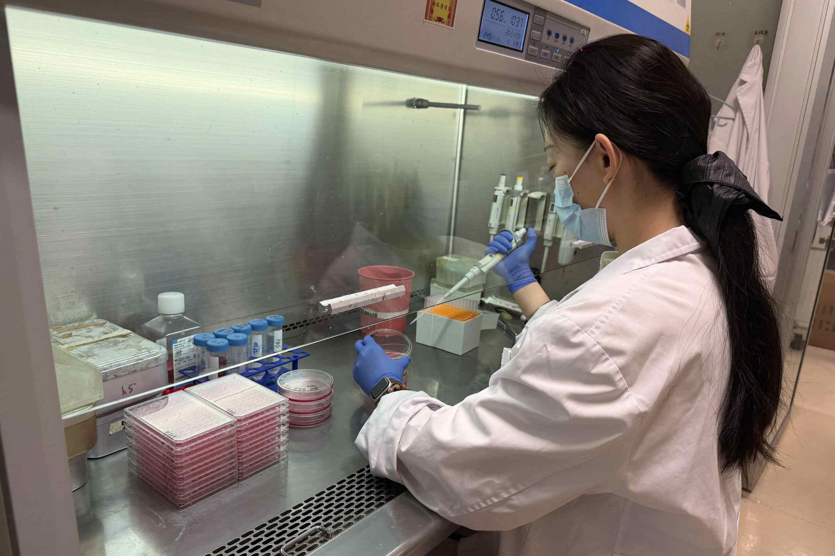 哈兽研在蓝舌病病毒疫苗研发领域取得重要突破