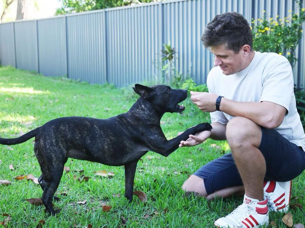 “手搓”疫苗，把癌症治好了？