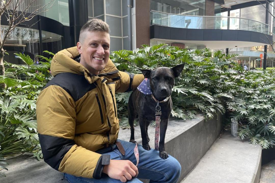 “手搓”疫苗，把癌症治好了？