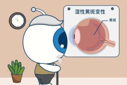 视物模糊不只是老花眼