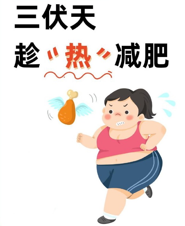 三伏天 健康减重好时机