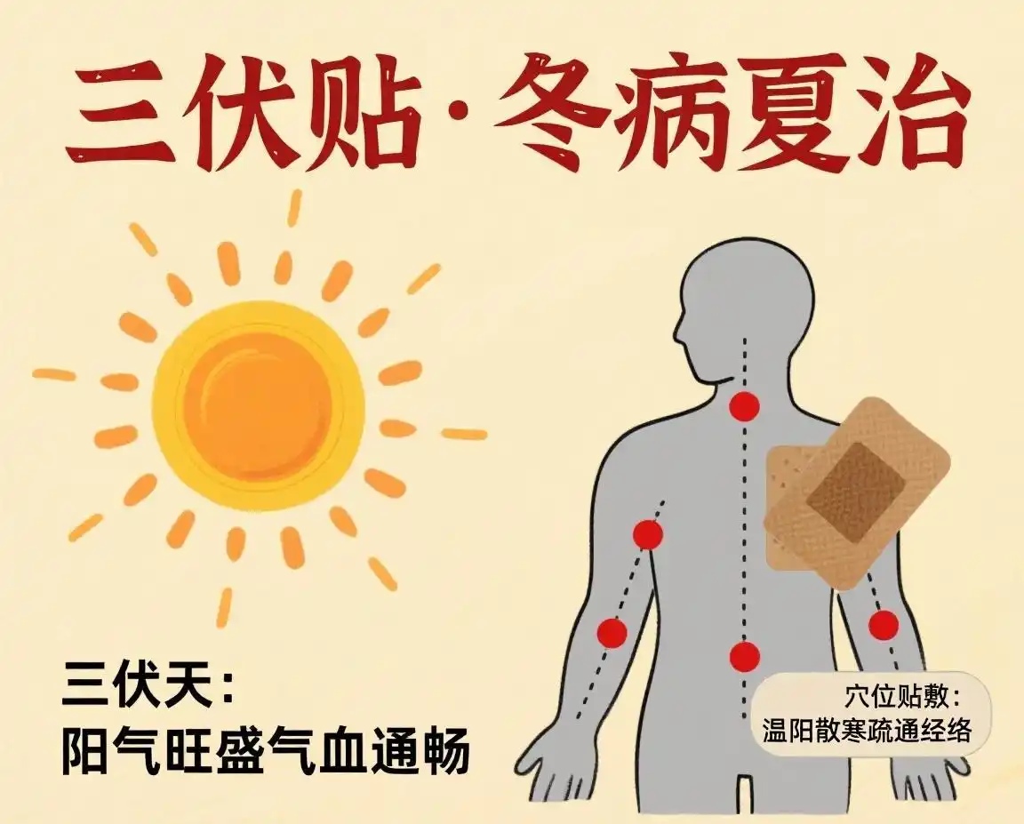 冬病夏治 择体而养