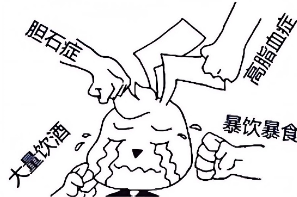 饱餐之后胃痛？警惕急性胰腺炎，别当成普通胃病